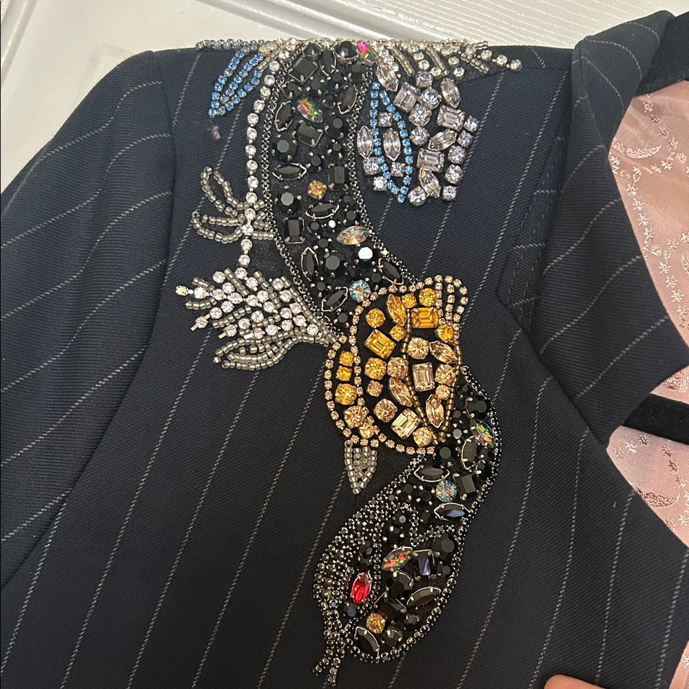 Zadig & Voltaire Volys Pinstripes Beaded Snake Blazer - Picture 6 of 11